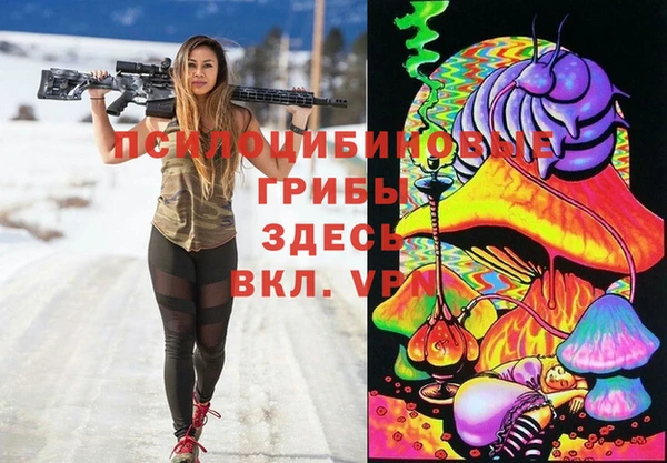 дживик Алзамай