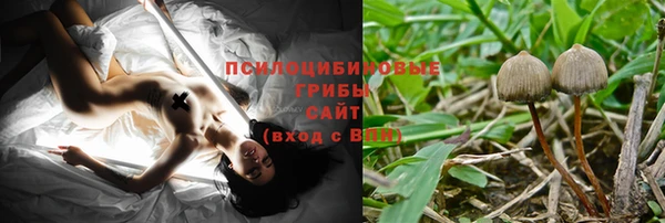 дживик Алзамай