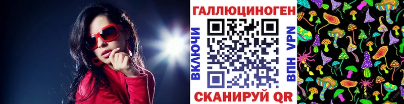 Псилоцибиновые грибы Psilocybe  Стародуб 